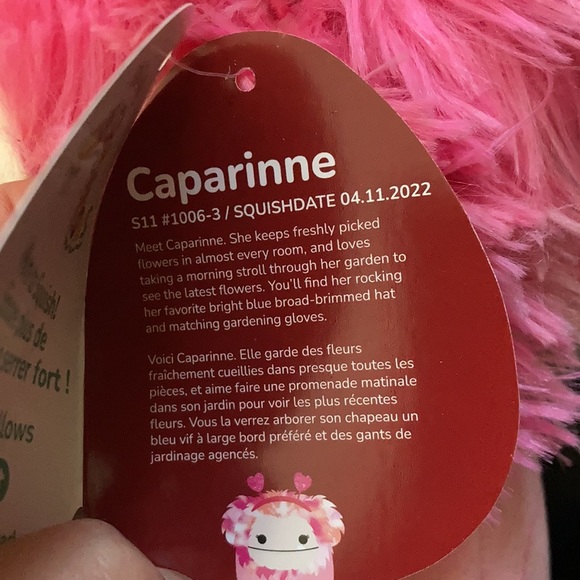 Caparinne Squishmallow 11” - Picture 4 of 4